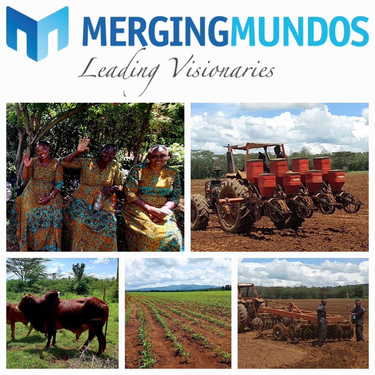 Visitamos un productor lider en #Nakuru #Kenya con 1000 acres para agricultura + 700 cabezas en su mayoria para produccion lechera. Intercambiamos BPAs y vimos como sumar el uso de (bio) tecnologias a sus practicas para incrementar su produccion. 
#TechnologyTransfer
🇰🇪