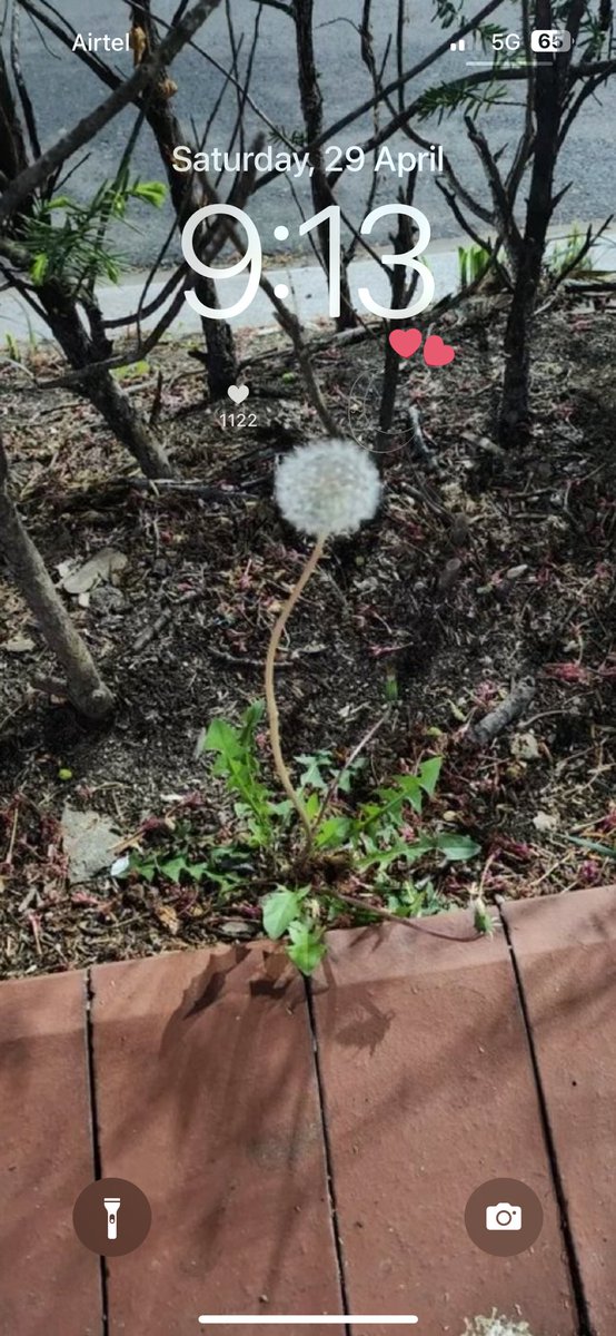 we love you bin. tweet media