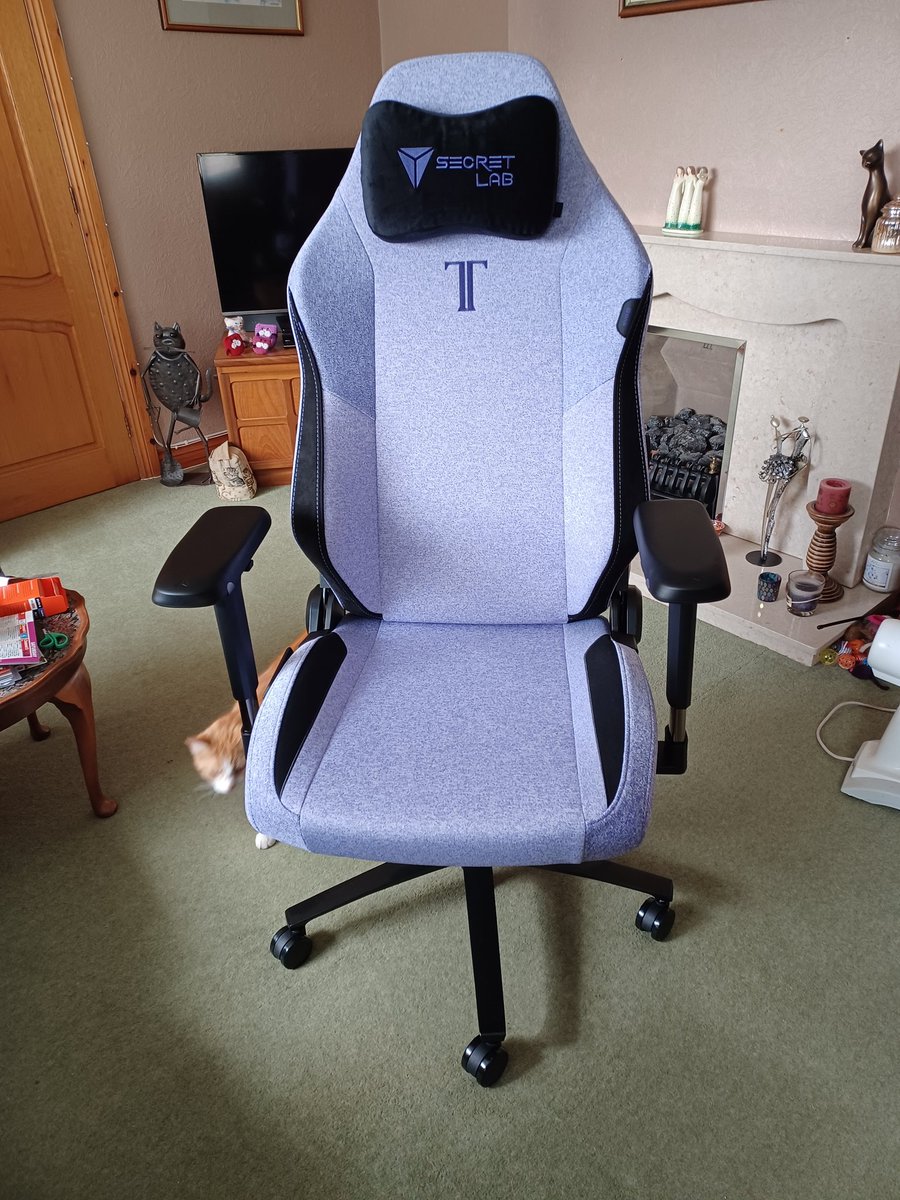 JenniSteen10's tweet photo. Behold! My new throne! I mean...my new home office chair that has already been quality controlled by the cats 😂

#workingfromhome https://t.co/QTcruHkpPt