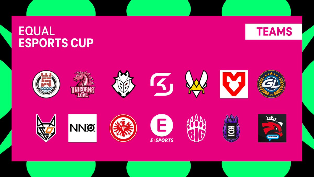 Mit SK Gaming, Team Vitality, G2 und KOI stellen 4 Teams aus der LEC ein Team beim Cup. Mit Unicorns of Love, BIG, Eintracht Spandau, Eintracht Frankfurt Esports, MOUZ, GamerLegion, E WIE EINFACH E-SPORTS und NNO ist fast die gesamte Prime League DIV. 1 dabei. Hinzu kommen noch die DIV. 2 Teams Austrian Force willhaben und TeamOrangeGaming.