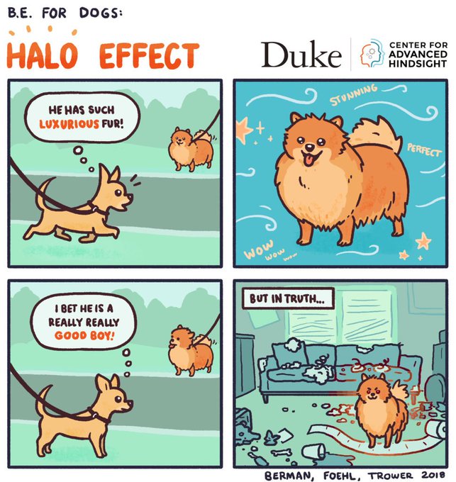 https://advanced-hindsight.com/blog/b-e-for-dogs-halo-effect/