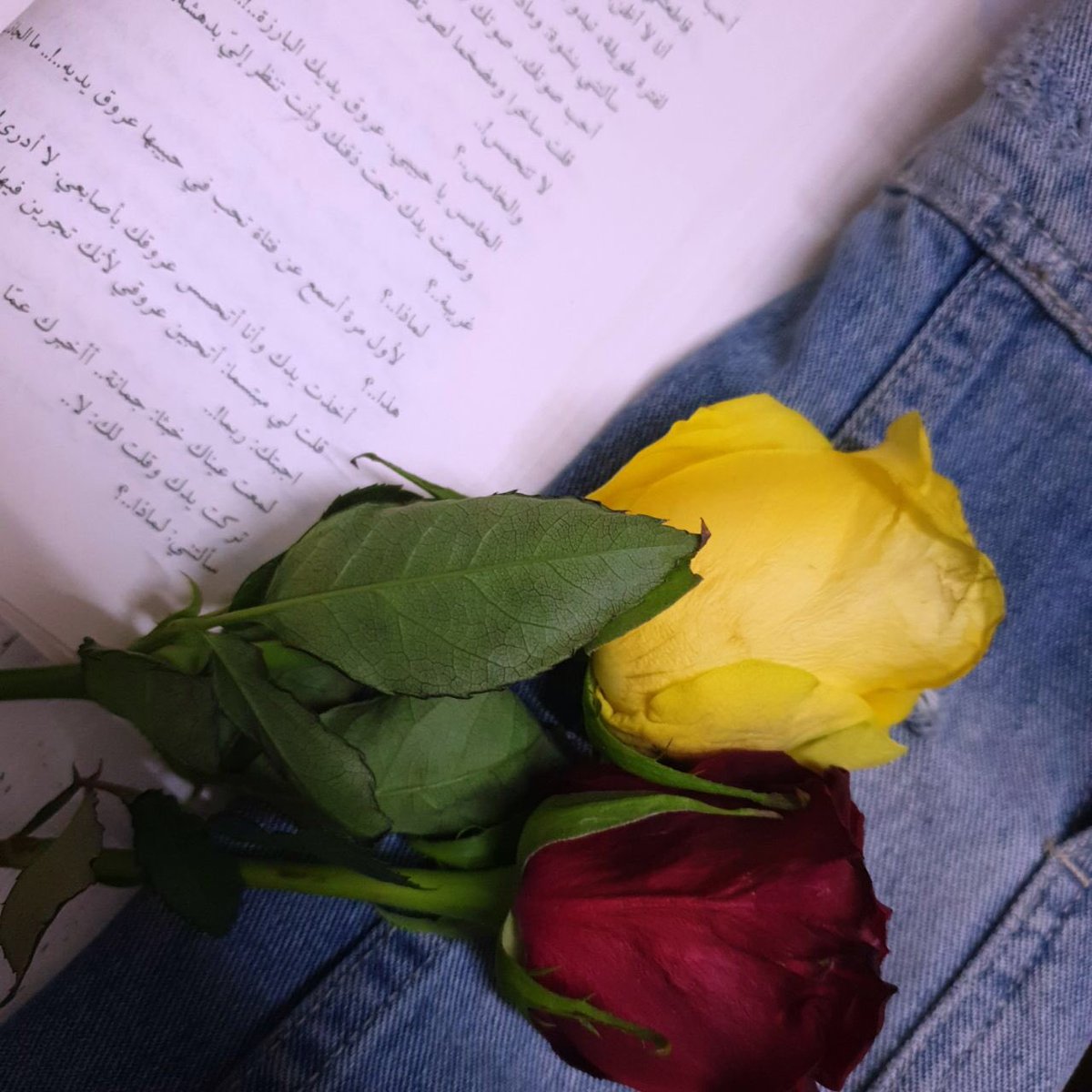 vst_5's tweet photo. حين تصير ُالحبيبات والحب ضدي ؟ 
وتصبح القصائد ضدي ،
وتصبح حتى النهود التي بايعتني
على العرش ضدي 
وفي اللحظات التي اتسكع ُفيها على طرق الحزن وحدي ..
أفكر فيك ِلبضع ثوان ًف تصبح 
حياتي حديقة ورد .
#ورد https://t.co/NO4ribo3ye