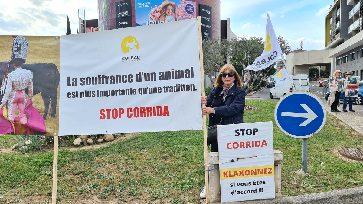 BeziersColbac's tweet photo. 🦬 Alors que le maire de #Béziers affiche des panneaux aux entrées de la ville pour faire de la #corrida sanglante la culture représentative de Béziers, le COLBAC continue de mener des actions visant à dénoncer la cruauté de cette pratique. #StopCorrida https://t.co/zT0YzmHZwT