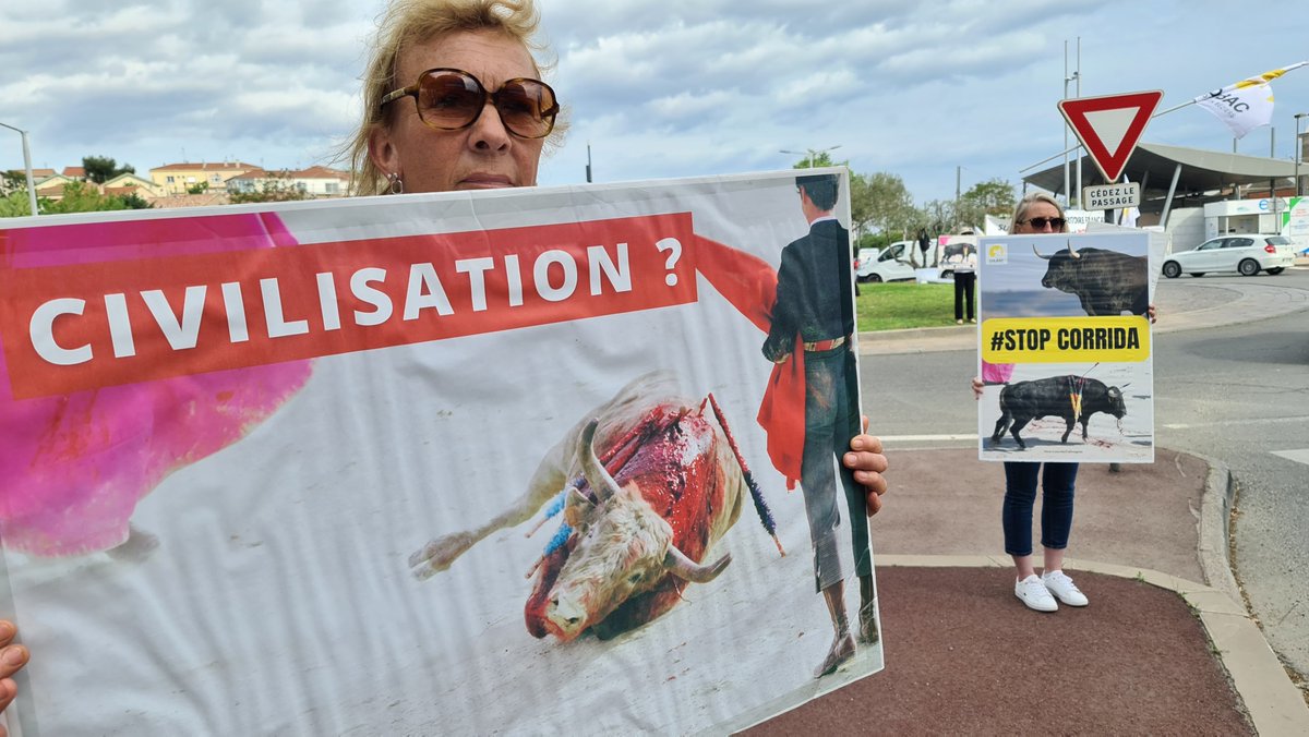 BeziersColbac's tweet photo. 🦬 Alors que le maire de #Béziers affiche des panneaux aux entrées de la ville pour faire de la #corrida sanglante la culture représentative de Béziers, le COLBAC continue de mener des actions visant à dénoncer la cruauté de cette pratique. #StopCorrida https://t.co/zT0YzmHZwT