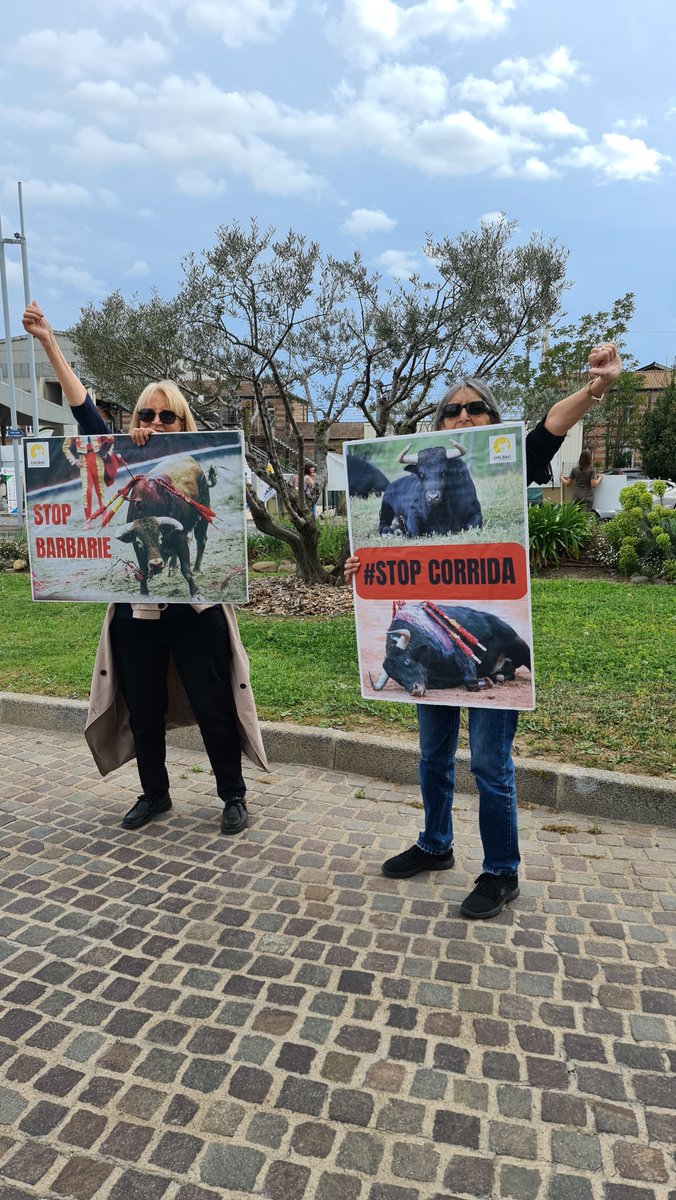 BeziersColbac's tweet photo. 🦬 Alors que le maire de #Béziers affiche des panneaux aux entrées de la ville pour faire de la #corrida sanglante la culture représentative de Béziers, le COLBAC continue de mener des actions visant à dénoncer la cruauté de cette pratique. #StopCorrida https://t.co/zT0YzmHZwT