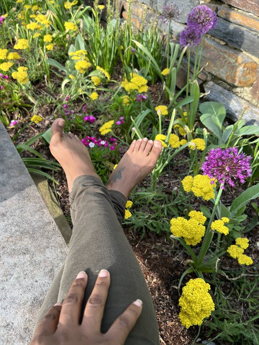 A flower cannot blossom without sunshine, and a man cannot live without love https://t.co/I76miCookl