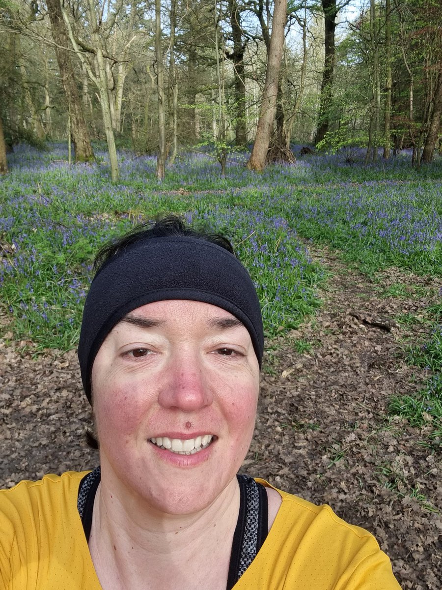 Penguin Claire 81 tweet media