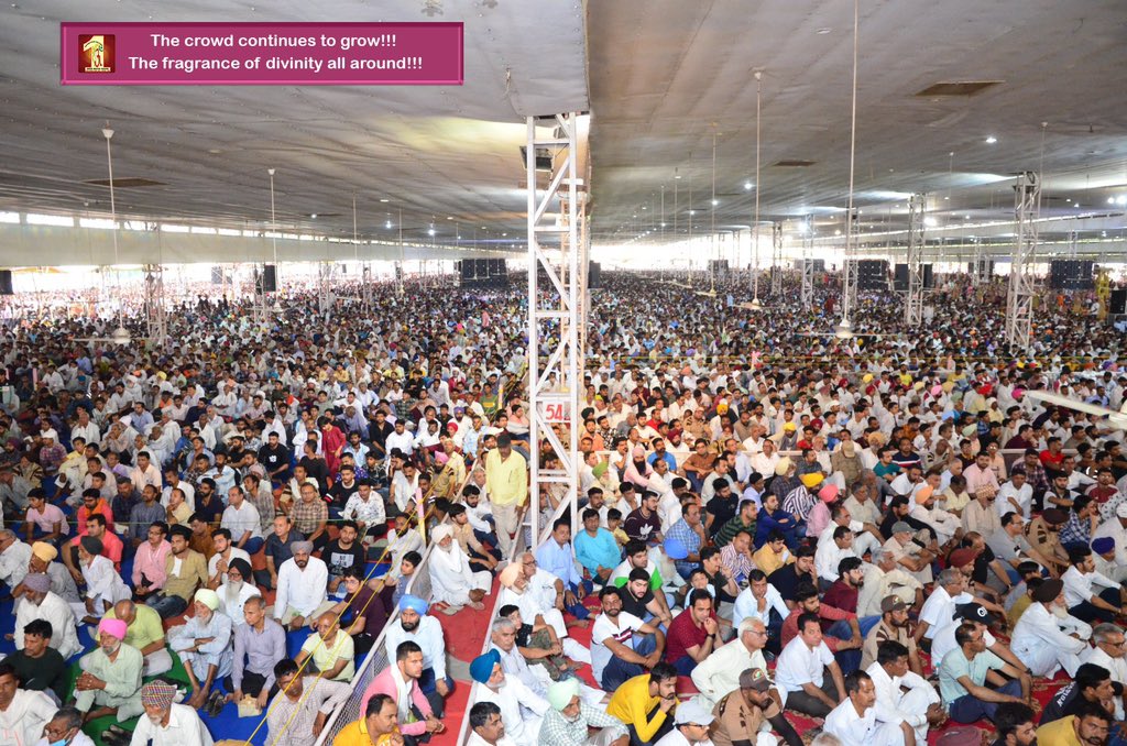 Dera Sacha Sauda tweet media