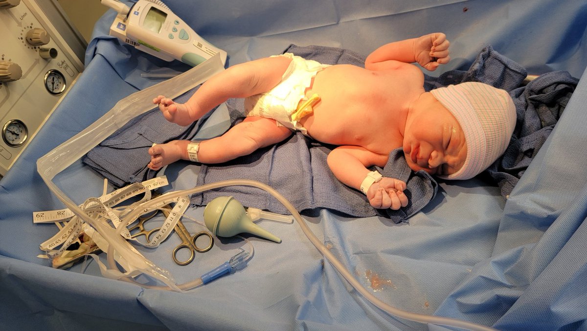 bcam_14's tweet photo. I was stubborn over the last few days and didn't want to come out, but here I am! Hello👋👋 #HarrisonScott https://t.co/IhKYmH7kHv