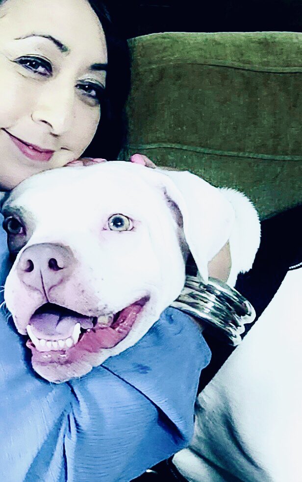 Dr. Marta Chipres Escobar tweet media