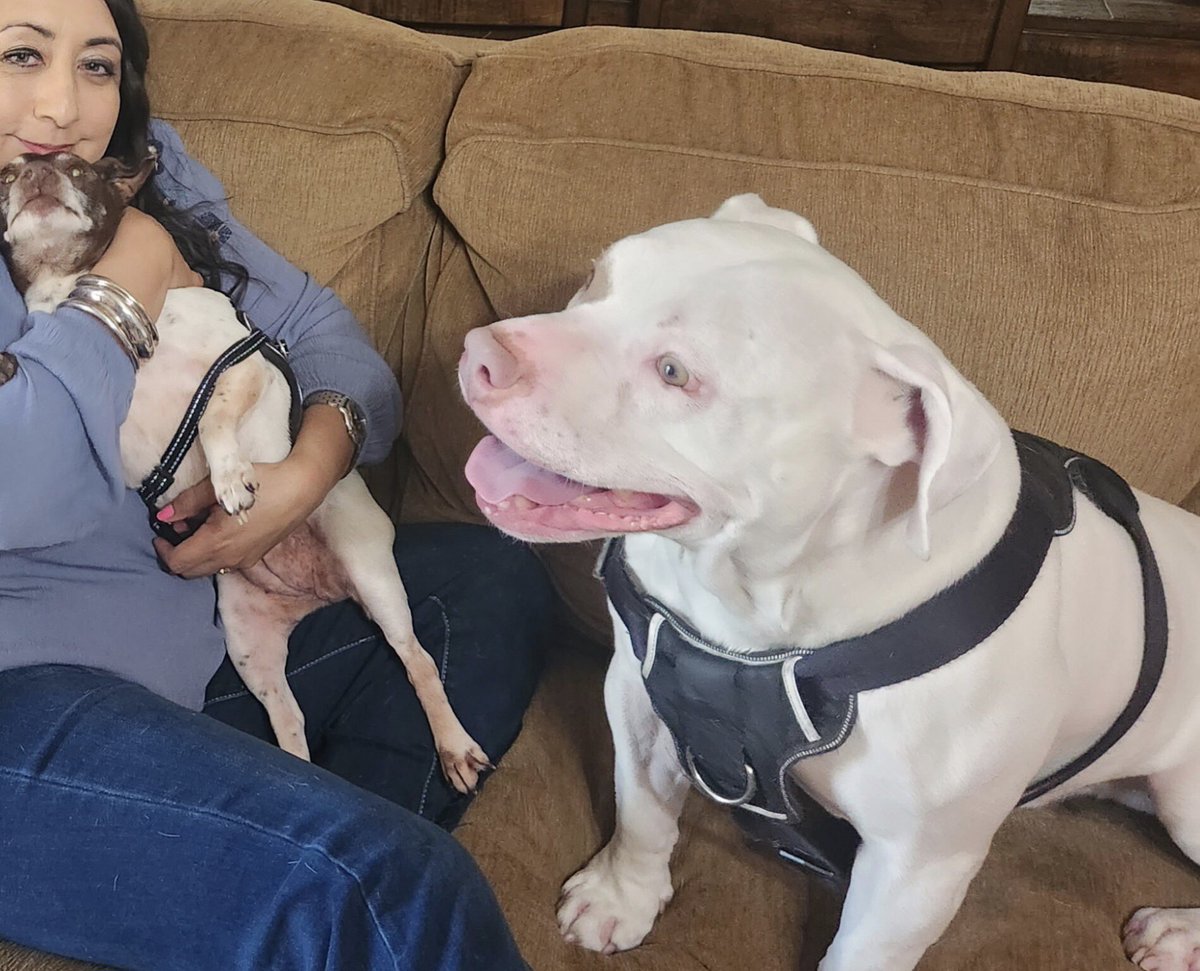 Dr. Marta Chipres Escobar tweet media