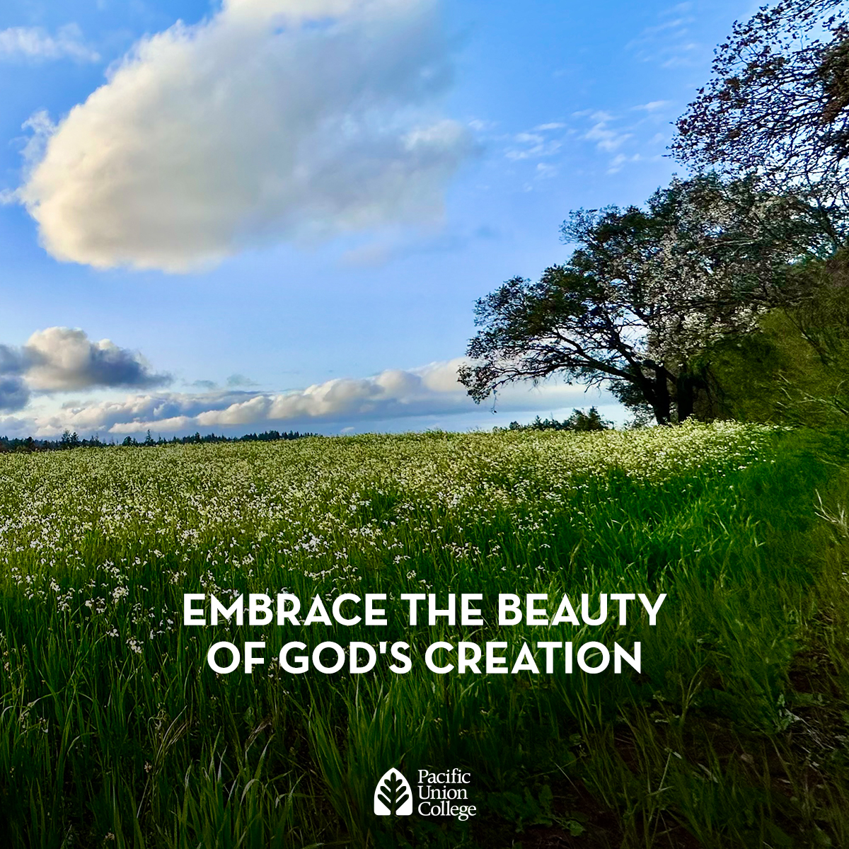 PUCNow's tweet photo. β¨ Embrace the Beauty of God's Creation πΌπβ¨
πΈ: Aimee Rogers, β14 πππ«Ά
#PUCNow #HappySabbath #SDA #GoPioneers #Beauty #NapaValley #NorCal #TheBack40 #PUC
#WeLoveOurPUCFamily https://t.co/GmHeiiWovk