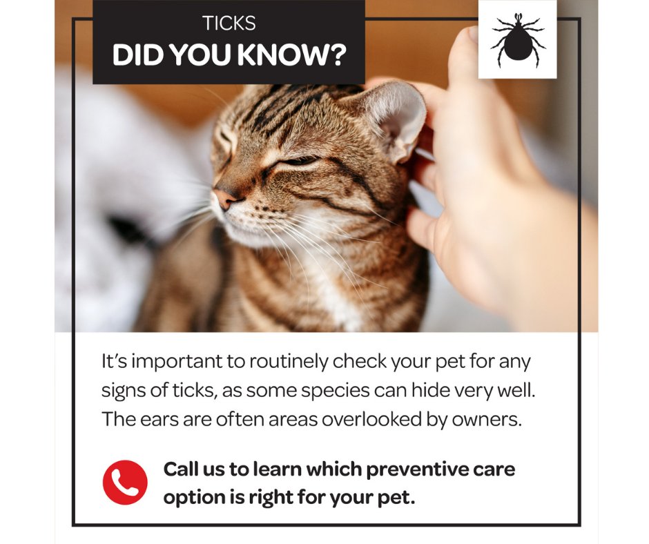 TickTalkCanada.com is a resourceful website we recommend. #ticktalk
Tick season is here! Administering a veterinary-approved tick control product for your furry friends for the duration of the tick risk season is highly recommended.