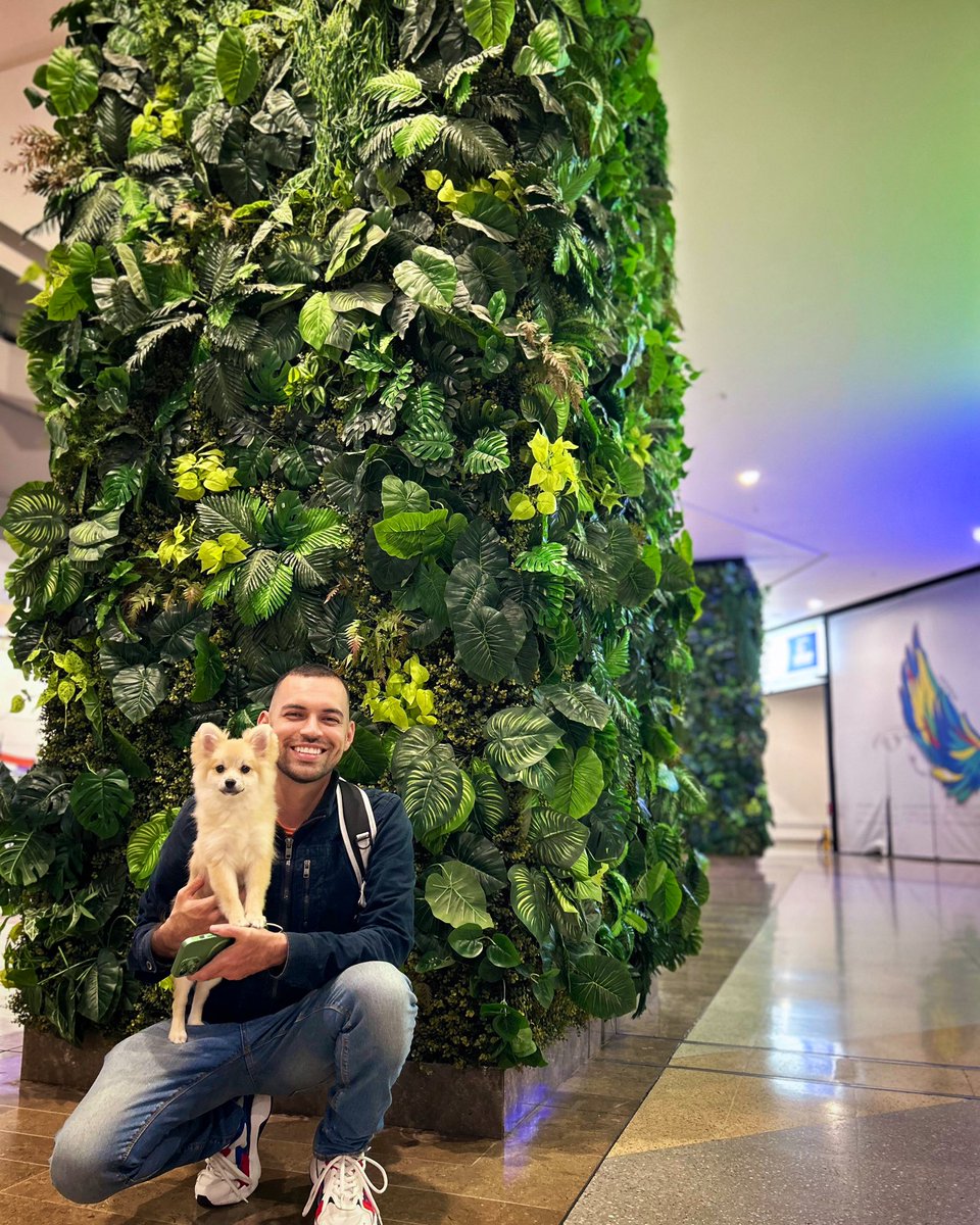 pipeuribe27's tweet photo. Qué bendición tenerte 🤩🦊 https://t.co/X1RY4gtx0m