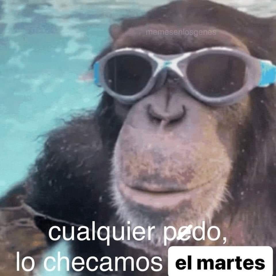 MexicoMagico's tweet photo. https://t.co/W2xNamYm4Q