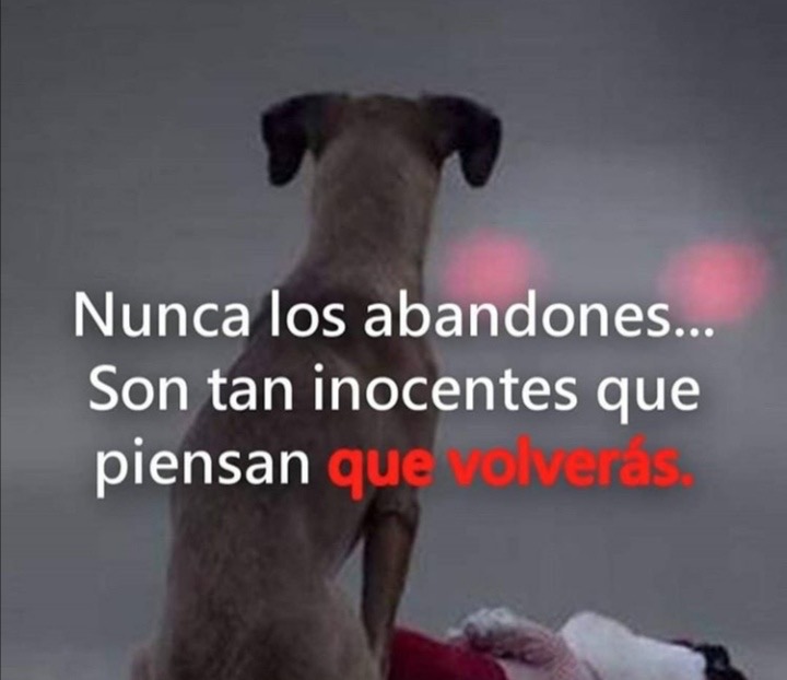 Paulo Coelho Español (@paulocoelhodice) on Twitter photo 