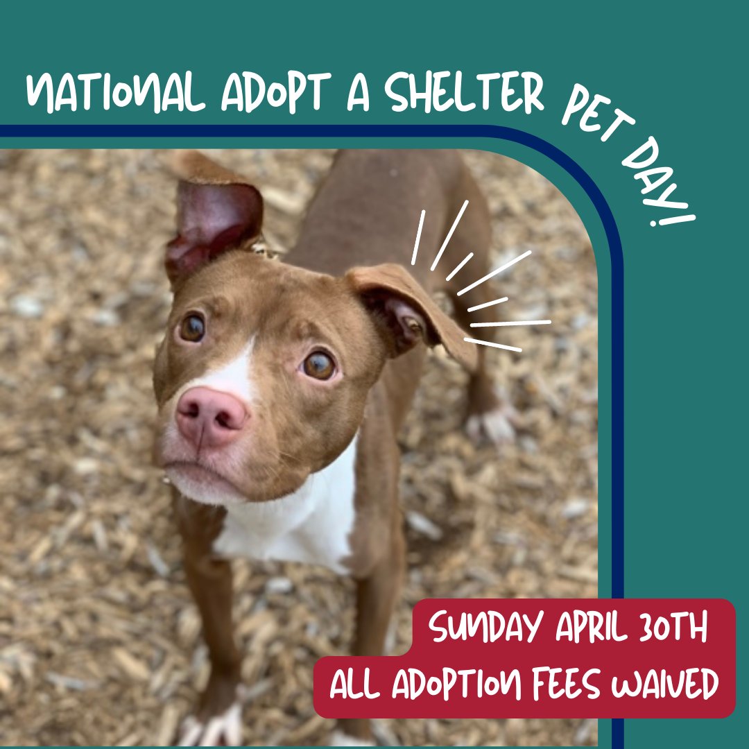 Operation Kindness On Twitter TOMORROW Sunday April 30th Is National operation-kindness-on-twitter-tomorrow-sunday-april-30th-is-national