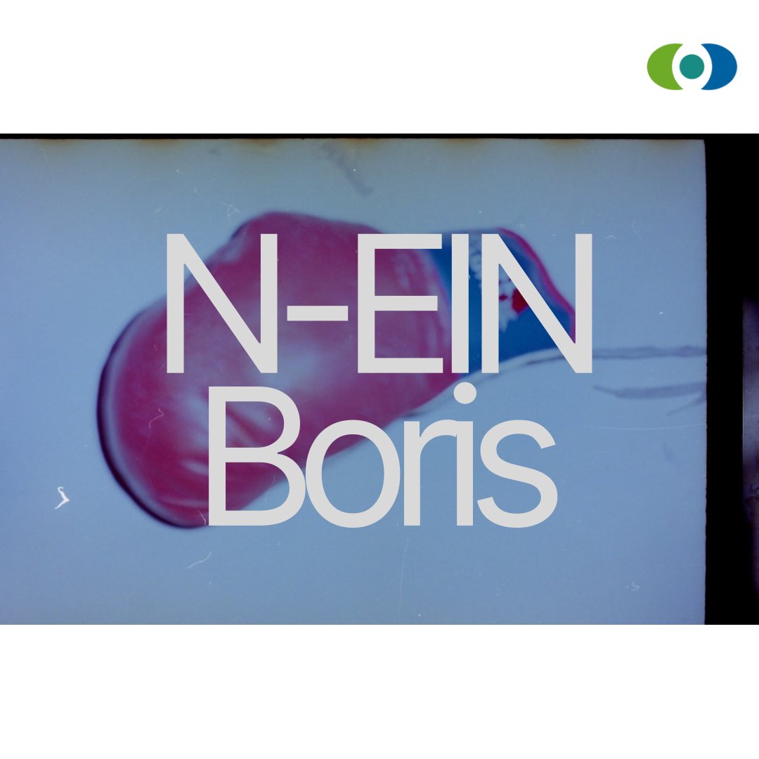 Und nein auch, Frau Schröter. Wer sich ernsthaft mit Rassismus auseinandersetzt, organisiert solch eine Konferenz nicht. Das wussten viele im Vorhinein. Das hätte Boris Palmer nicht mit rassistischen Äußerungen und Holocaust-Relativierung gewaltvoll unter Beweis stellen müssen.
