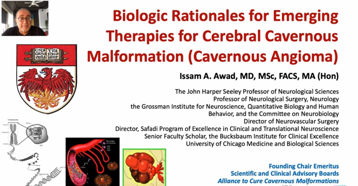 curekidstroke's tweet photo. Amazing presentations on the "Emerging Medical Treatments for Pediatric Cerebrovascular Disease" Session of the Virtual Conference! #IPSOConference2023 #pediatricstroke #researchkidstroke https://t.co/dTivmDd6sG