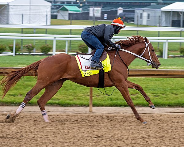 BloodHorse's tweet photo. Mage, Confidence Game Impress in Final Derby Works https://t.co/yCNTyWzSRv @BH_FAngst #TC2023 https://t.co/I41eXzCk7E