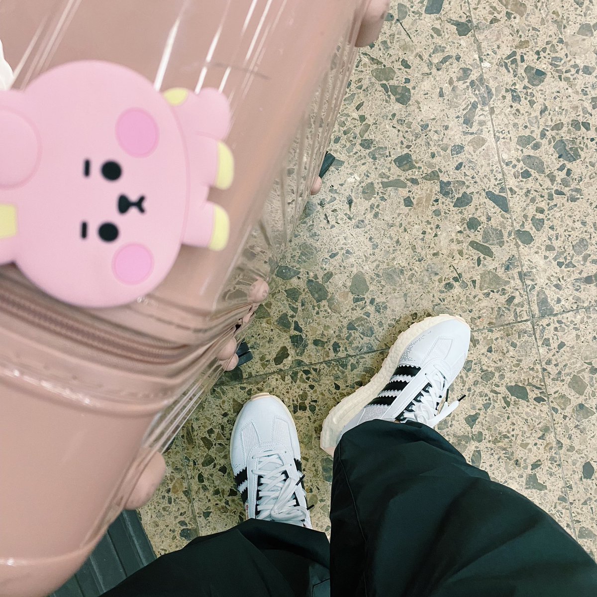 Shanghaiguy tweet media