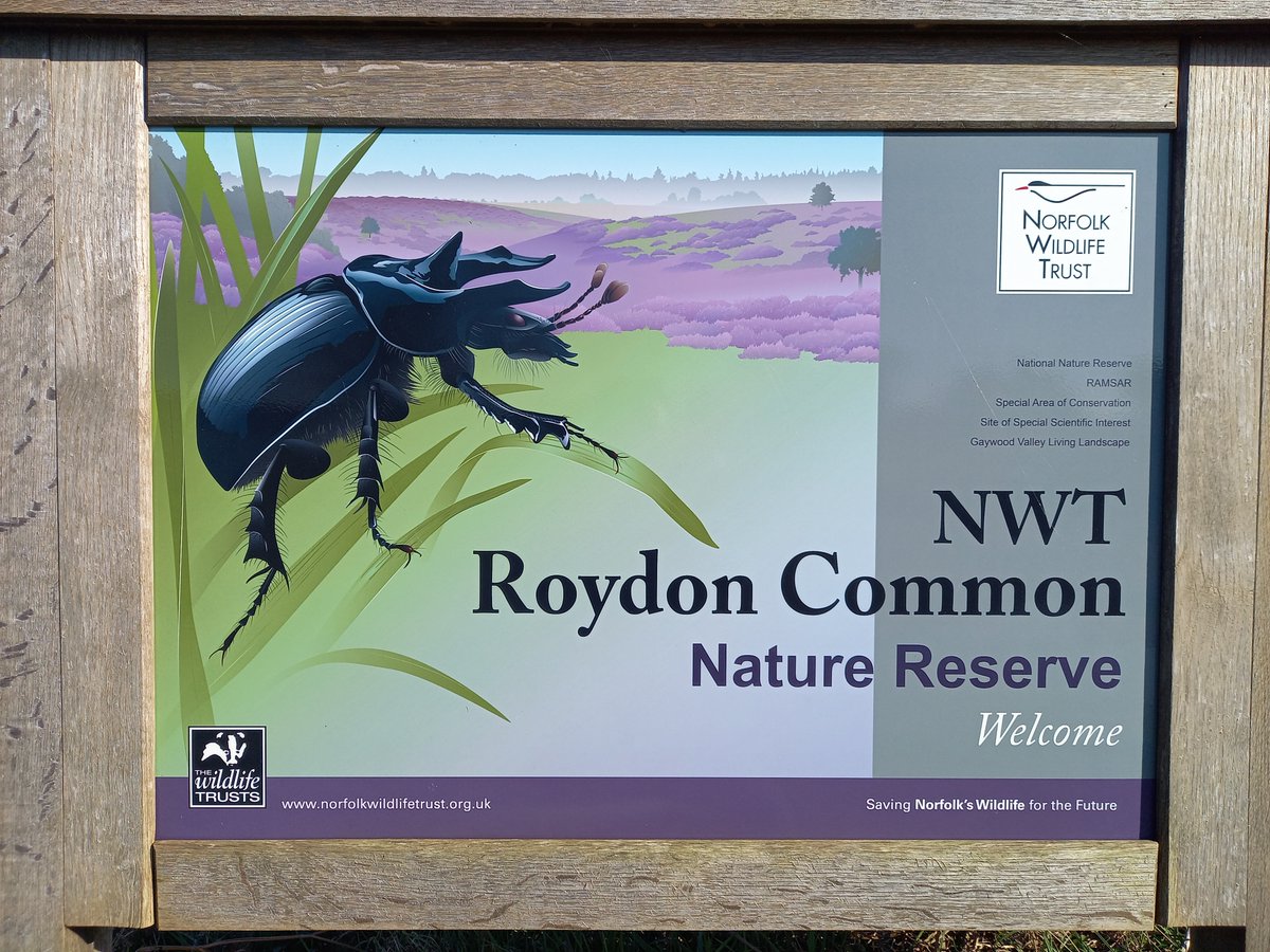 HenryStanier's tweet photo. Well done @NorfolkWT for great signage and interpretation at #RoydonCommon. An impressive #MinotaurBeetle welcomes you at the entrance. Quite appropriate as it's "the little things that run the world"; all hail the late, great Edward O. Wilson for these wise words. https://t.co/q9GbnYK3BH