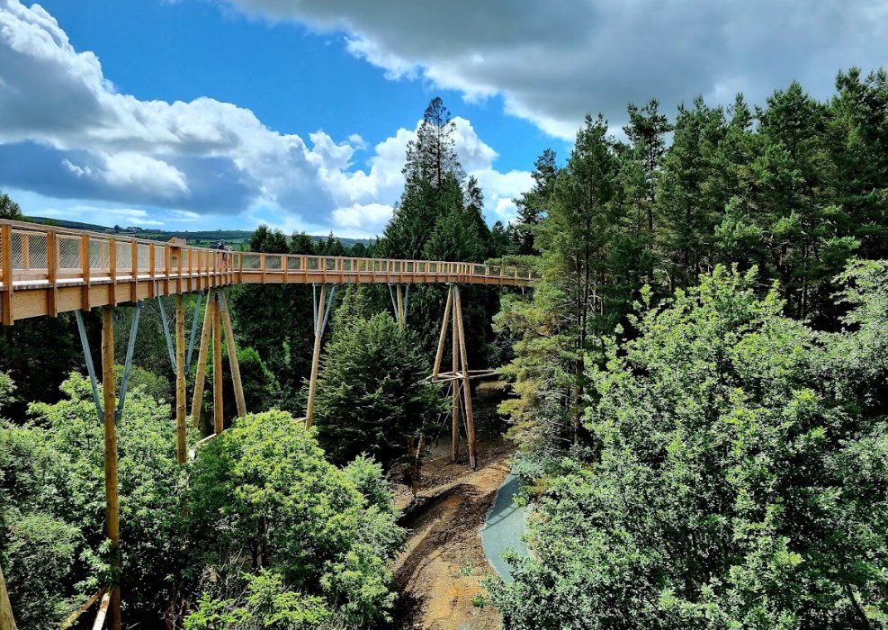 AvondaleBeyond's tweet photo. Tasked with organising a group day out, look no further!
Beyond the Trees Avondale is the perfect place to visit, accessible to all ages and abilities. Make it a trip to remember, contact us today
Email groups@beyondthetreesavondale.com
#dayoutwithfriends #dayoutwithfamily https://t.co/4ddRSMSJML