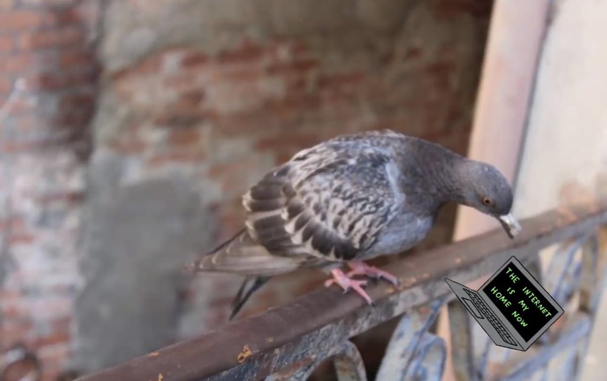 Me -why does my back hurt so much?
Also me 24/7