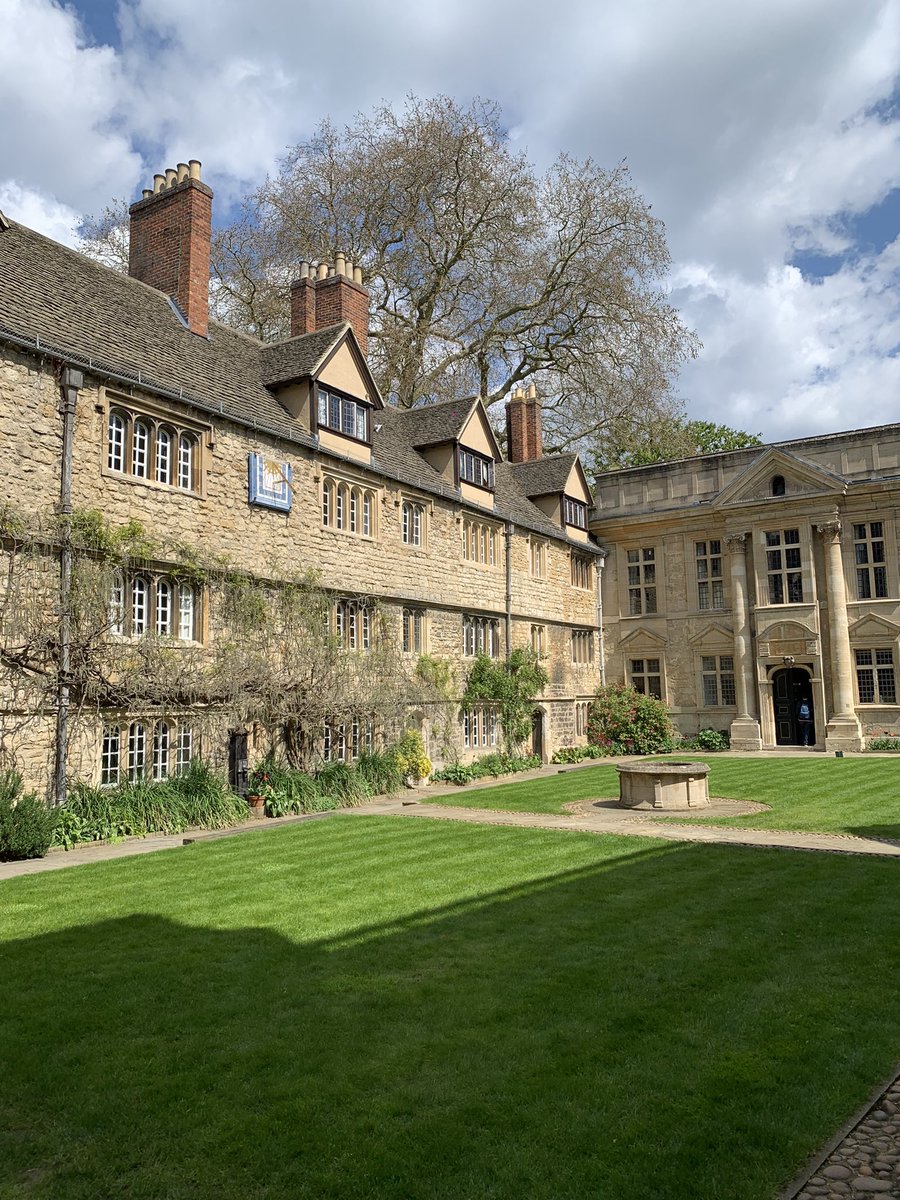 Leonardo Magneschi tweet media