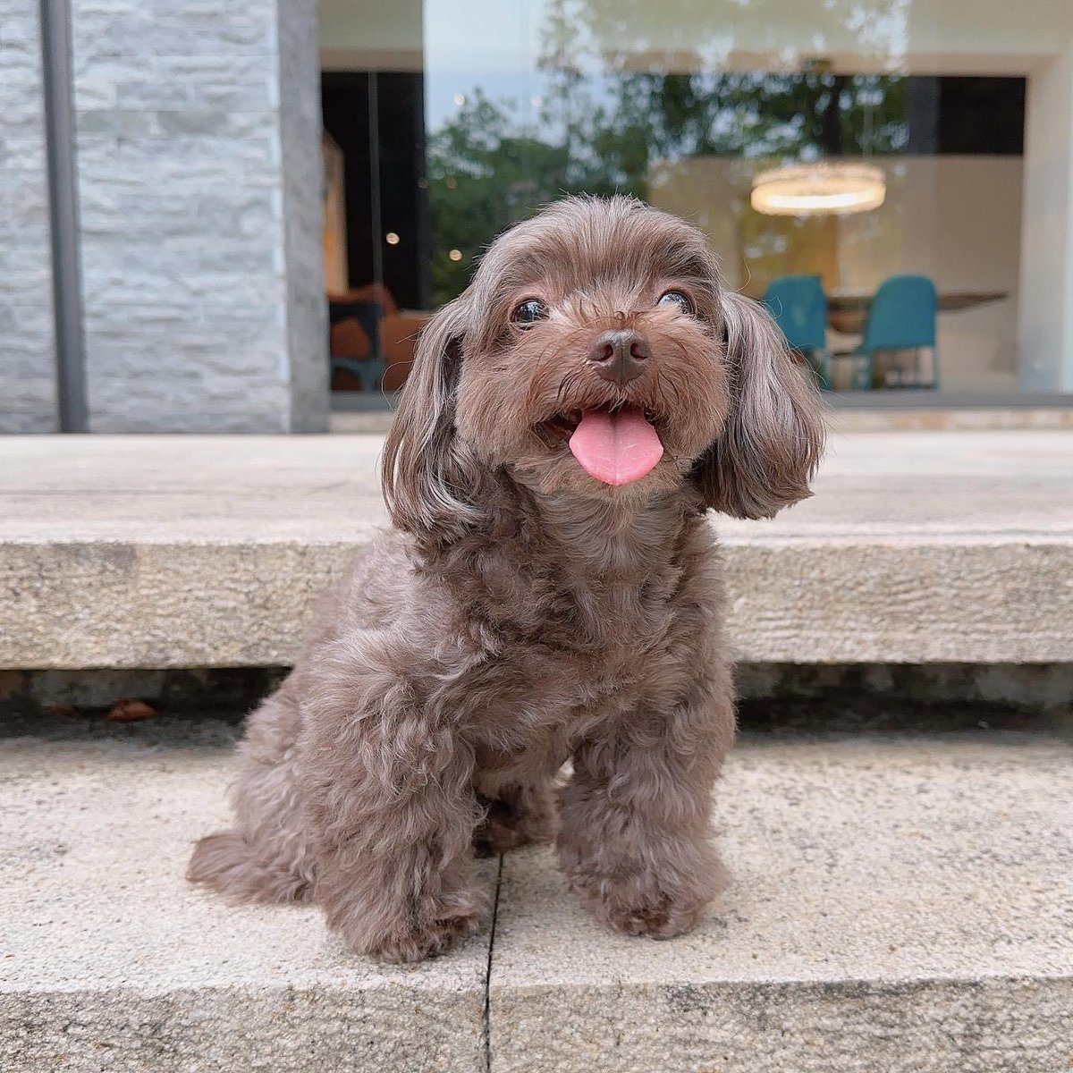 cloverjiji3's tweet photo. Must be hot💦
暑い季節がやってきた〜

P1 好天氣出門走走好開心🧡
P2 嗯？這天氣是不是太好🌞
P3 好了！可以回家了🥵

出門總時間：5分鐘😳
波堤宇宙 Poti Universe FB &amp; IG
#炎亞綸 #aayan1120 #poti_universe
https://t.co/aZWL0DjjHV https://t.co/BQXasGZAHA