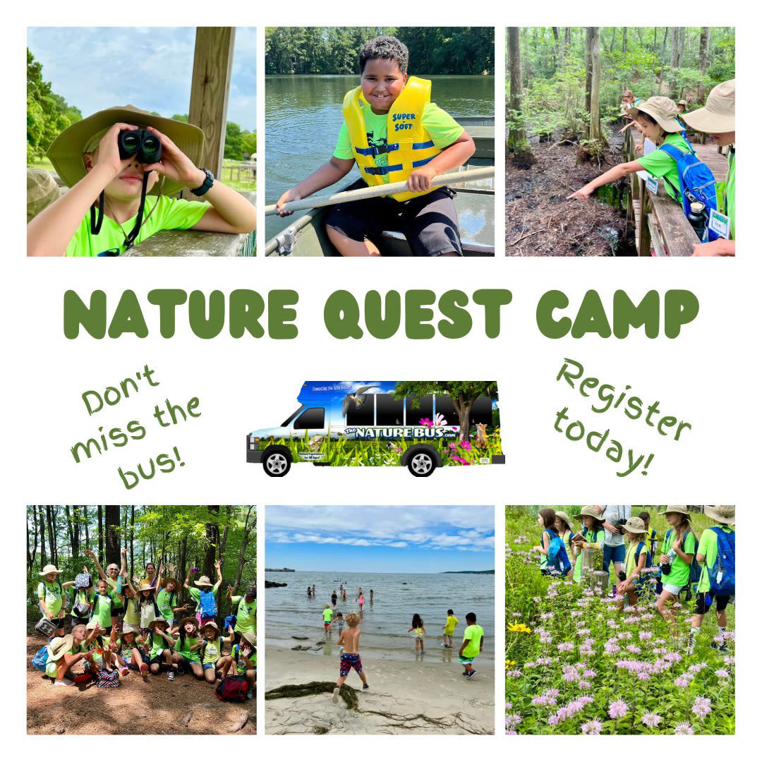 MyActiveChild HRVA tweet media