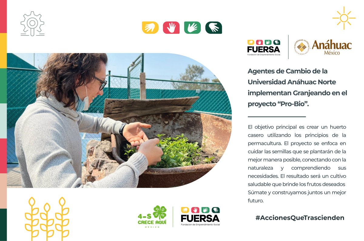 Agentes de Cambio de la Universidad Anáhuac norte están implementando el programa "Granjeando" a través de su proyecto "Pro-Bio".

El resultado será un cultivo saludable que brinde los frutos deseados.

#AccionesqueTrascienden #4SCreceMX #MEJOR4S #FUERSAMX #Anahuac