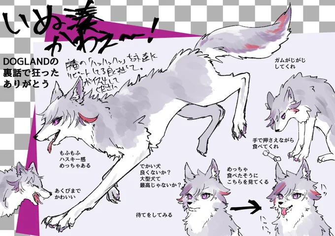 ⚠️ぷわ🐶化 
