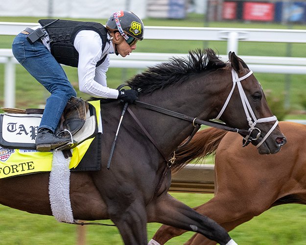 BH_AEberhardt's tweet image. Busy work tab as @KentuckyDerby contenders have their final works @ChurchillDowns including #Forte #TapitTrice #ConfidenceGame #Mage