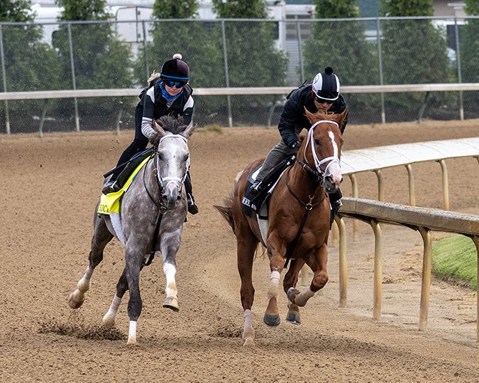 BH_AEberhardt's tweet image. Busy work tab as @KentuckyDerby contenders have their final works @ChurchillDowns including #Forte #TapitTrice #ConfidenceGame #Mage