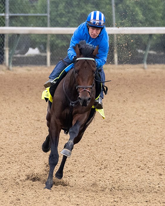 BH_AEberhardt's tweet image. Busy work tab as @KentuckyDerby contenders have their final works @ChurchillDowns including #Forte #TapitTrice #ConfidenceGame #Mage