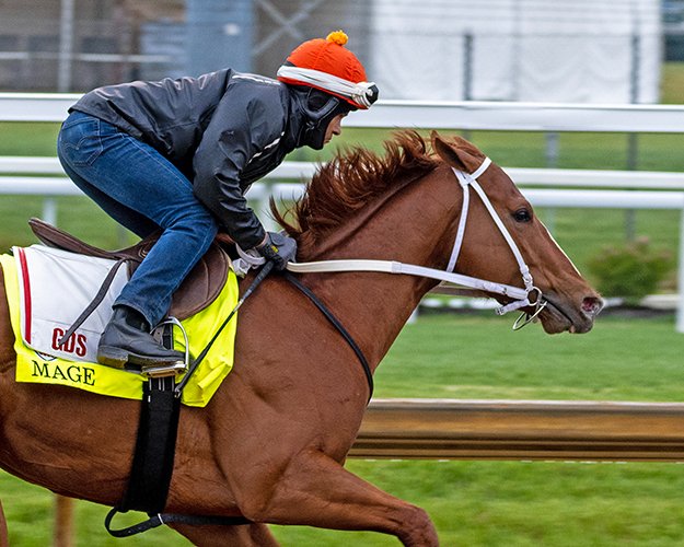 BH_AEberhardt's tweet image. Busy work tab as @KentuckyDerby contenders have their final works @ChurchillDowns including #Forte #TapitTrice #ConfidenceGame #Mage