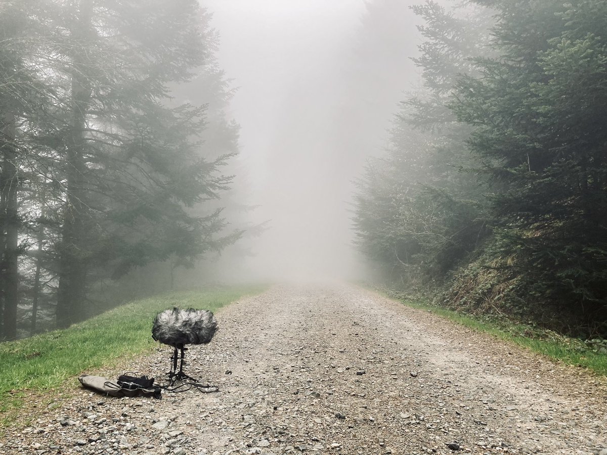 A bit of field recording in the French Pyrenees #GameAudio #soundeffects