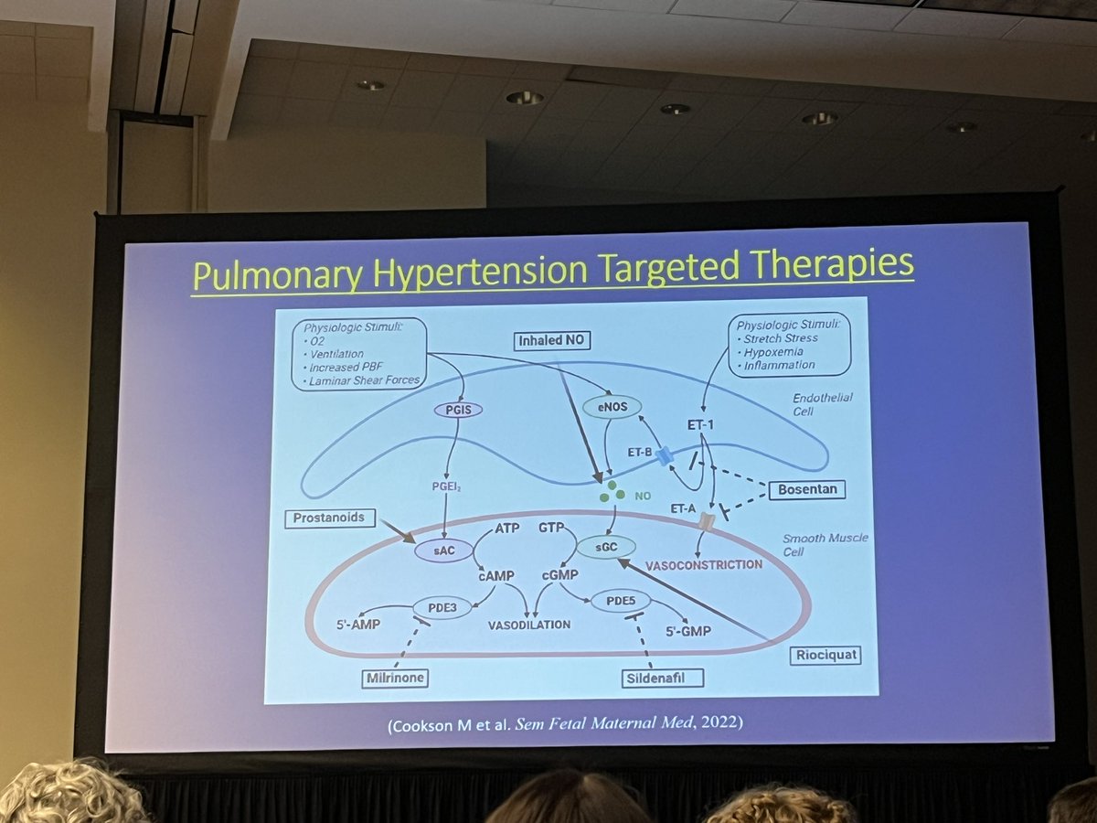 @CUAnschutz @ChildrensCO_Pro @ChildrensColo #NICU fellow Michael Cookson’s work on pulmonary hypertension featured at #PAS2023 BPD symposium. @hwang_susan @NeoAndMarathons @skideepowder