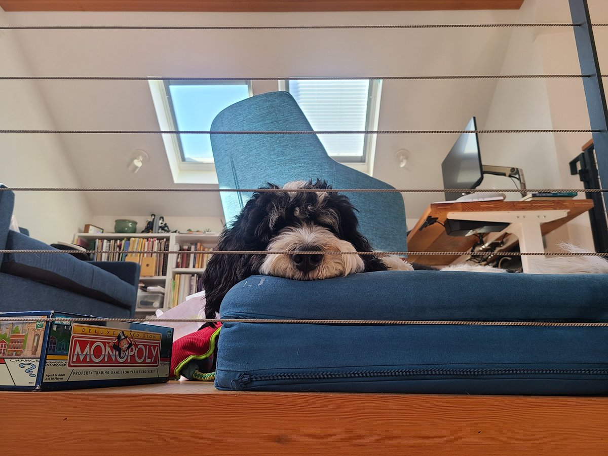 gxxcastillo's tweet photo. Saturday morning's at the Castillo household be like... https://t.co/4sHHgWzpVB