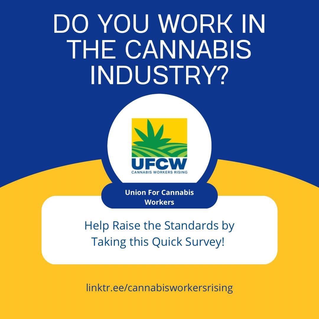 VT_AFLCIO's tweet photo. We have officially hit 420 followers on Twitter! To celebrate, we’re promoting @UFCW campaign to unionize cannabis🍃
We call on workers across Vermont to smoke weed and #StartAUnion ✊💨 https://t.co/fNjdbiJcPP