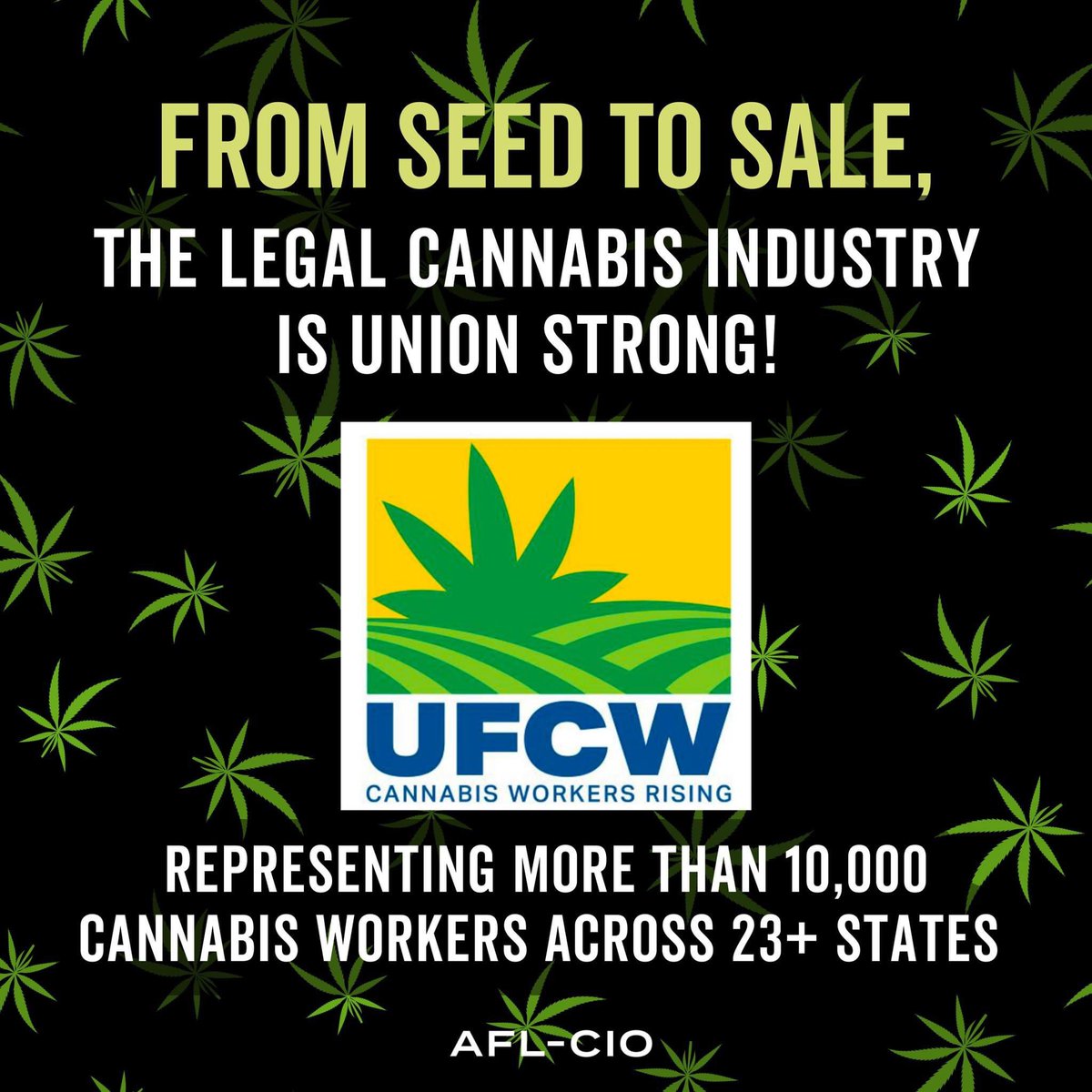 VT_AFLCIO's tweet photo. We have officially hit 420 followers on Twitter! To celebrate, we’re promoting @UFCW campaign to unionize cannabis🍃
We call on workers across Vermont to smoke weed and #StartAUnion ✊💨 https://t.co/fNjdbiJcPP