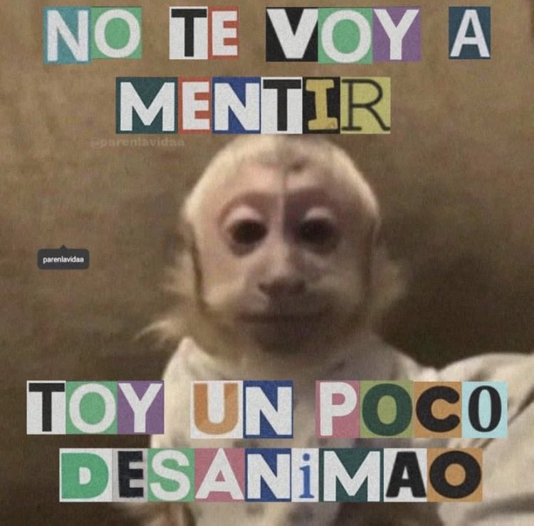 piscis en crisis 🍉 tweet media