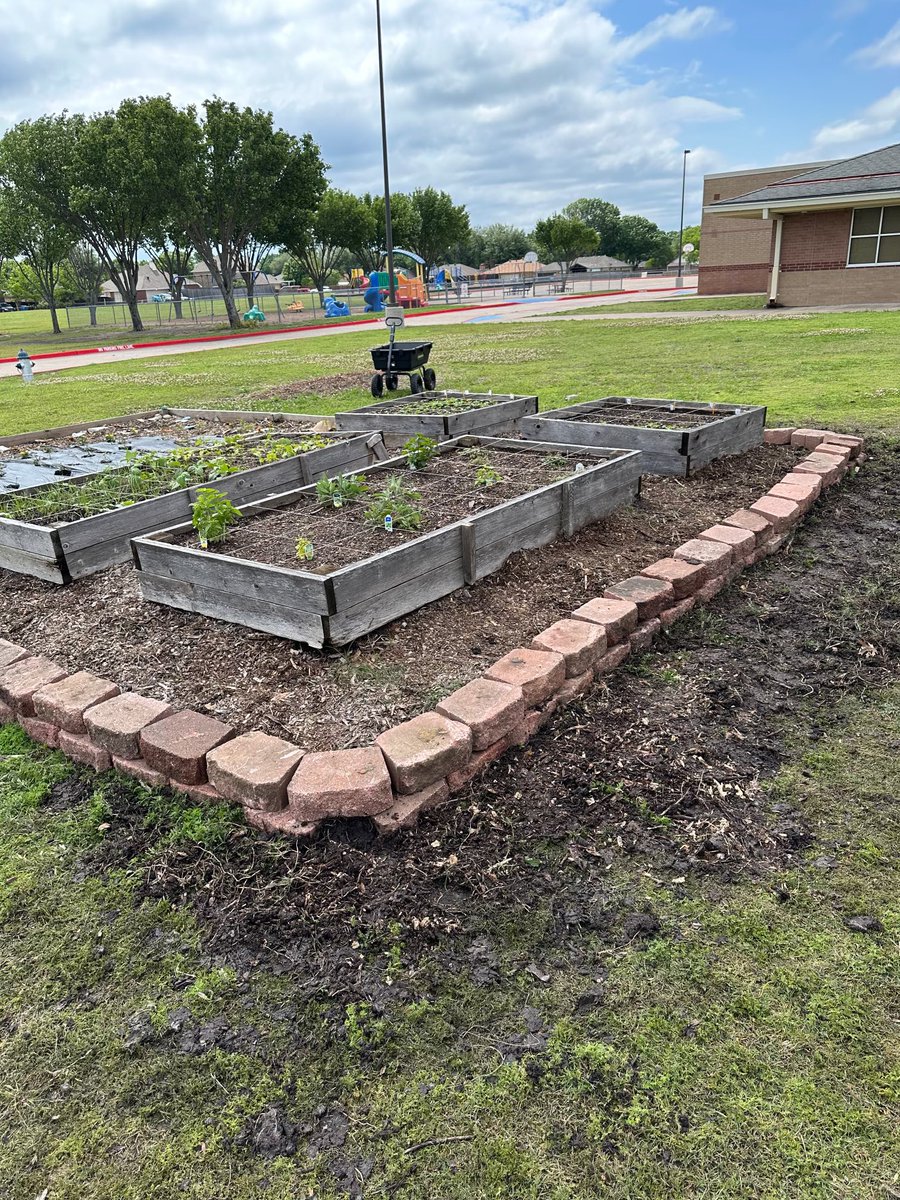 Steadham Elementary tweet media