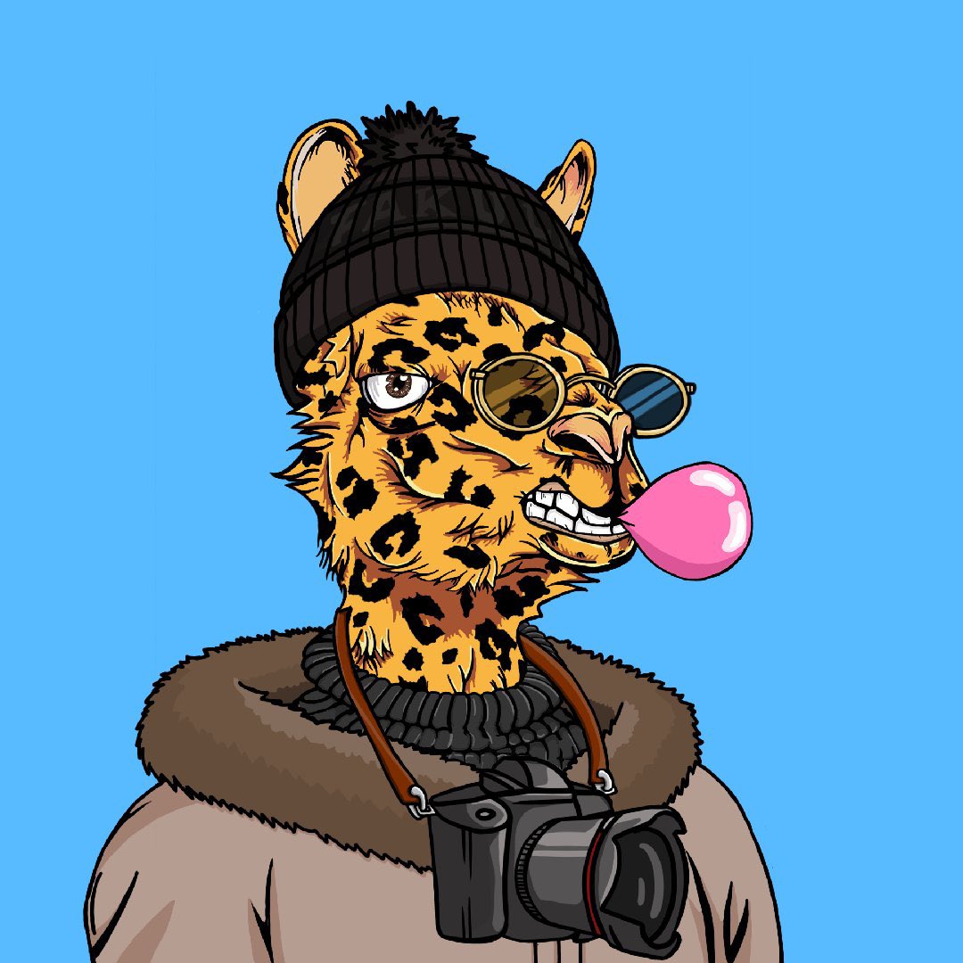 The Good Llamaz 🚀 MINTING NOW tweet media