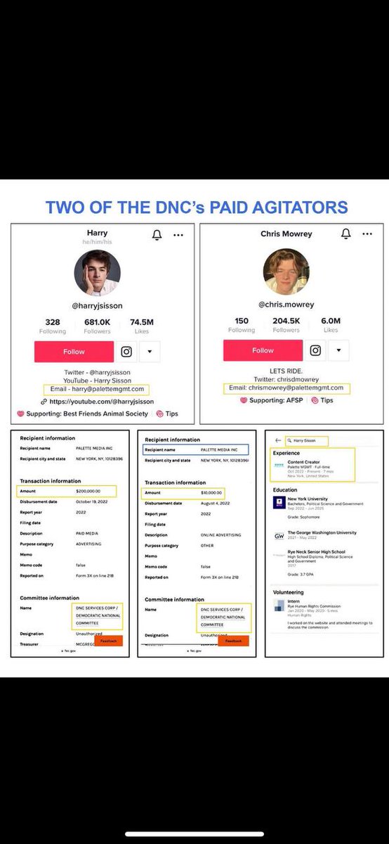 MedFirstZoomer on Twitter "RT AFpost Gen Z TikTok influencers Chris Mowery and Harry Sisson
