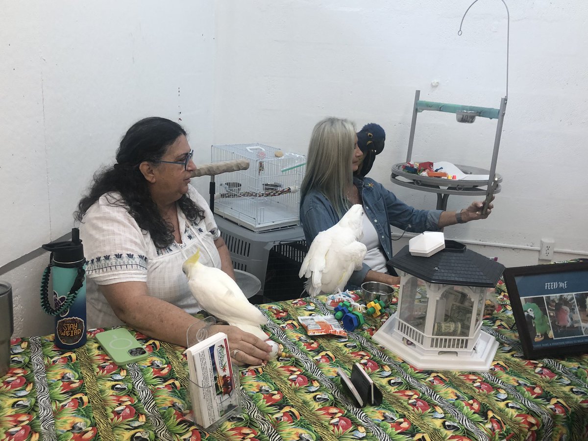 RachelPloss's tweet photo. Here at Art Center Manatee families are learning about many different animals from horses and camels to parrots and alligators 🦜🐊🐪 with painting and pet portraits to boot! #SuncoastRemakeDays @SuncoastCGLR https://t.co/MT6rsB2mcJ