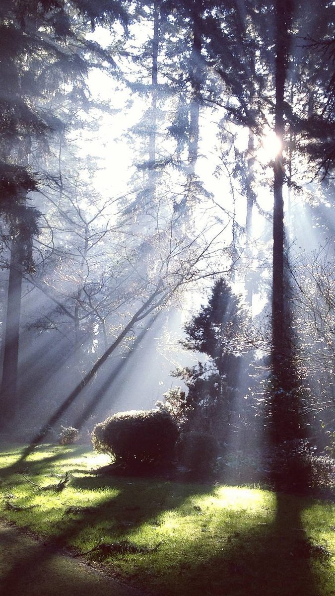 All happiness depends on courage and work.☀️🦋
🐝       ~Honore Balzac~