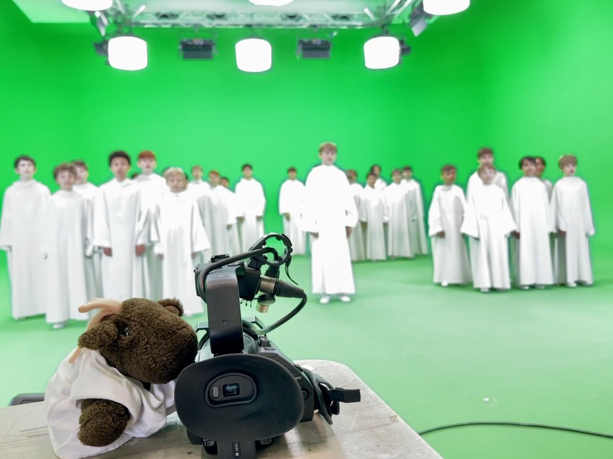 Libera Moose tweet media