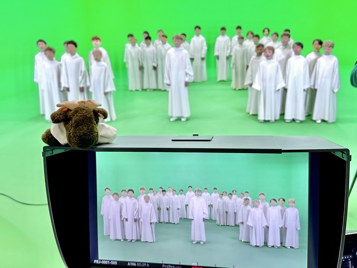 Libera Moose tweet media